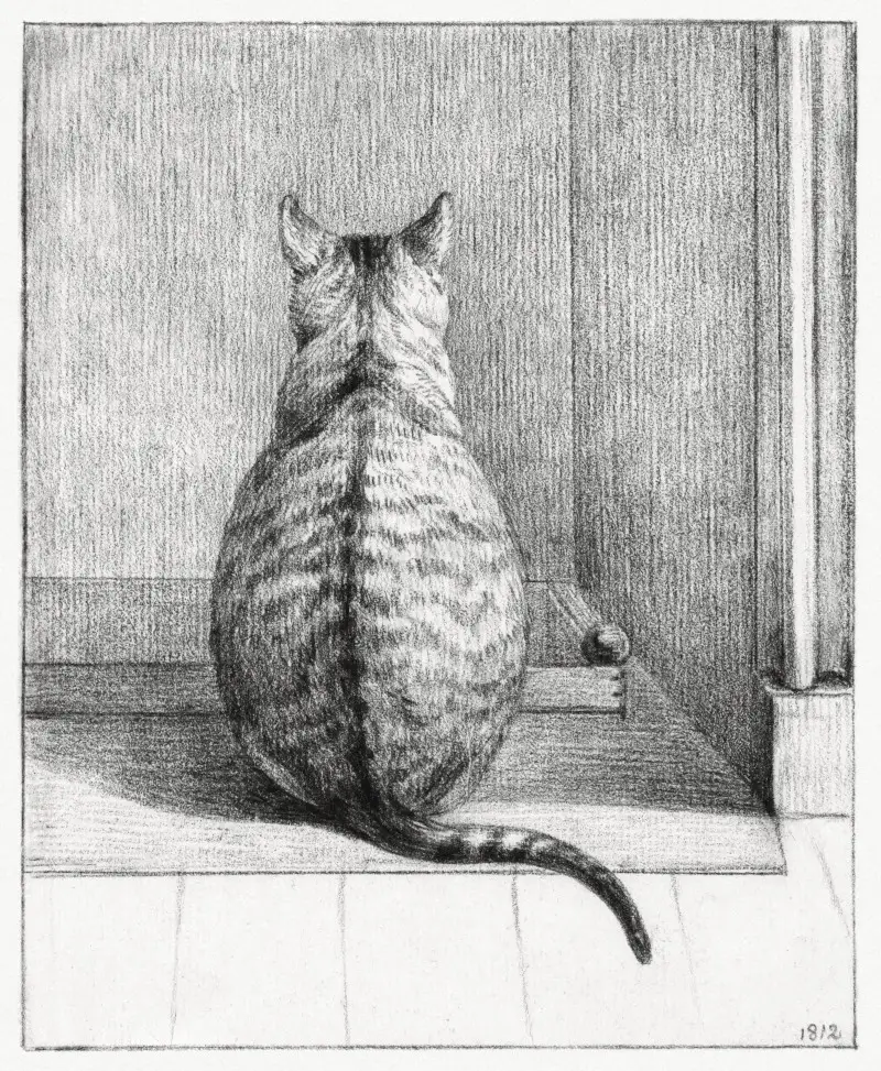 Sitting cat, from behind (1812) drawing in high resolution by Jean Bernard